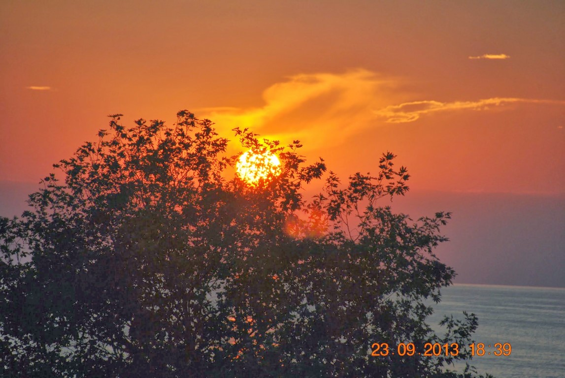 imagini hotel GRAND ZAMAN BEACH ALANYA